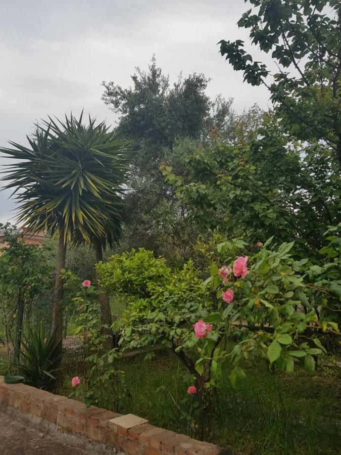 "Il Nespolo" Villa Scauri  Bagian luar foto